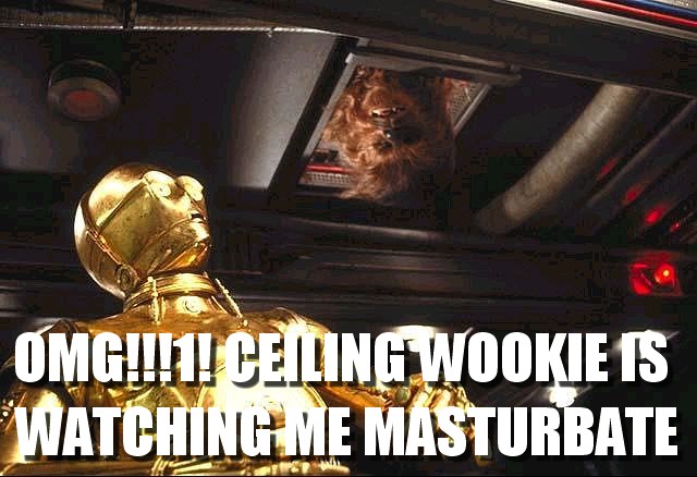 Ceiling Wookie